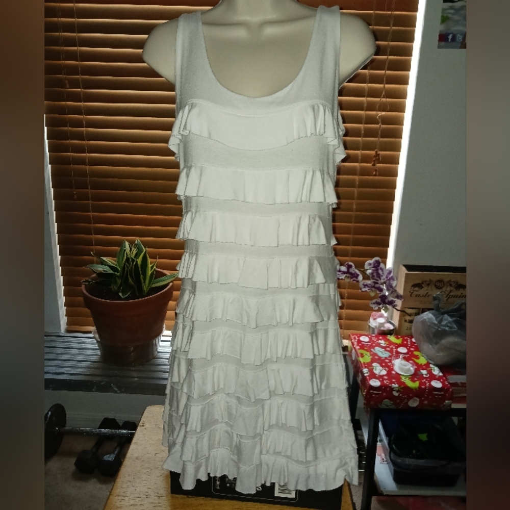 Express Ruffle Dress